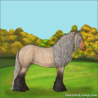 Horse Color:Silver Buckskin Roan Dun 