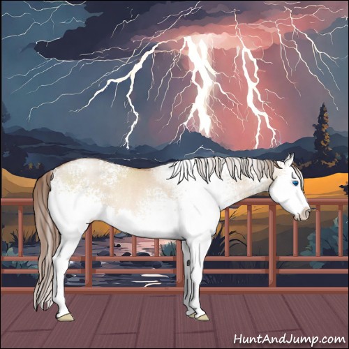 Horse Color:White Spotted Brown Pearl Dun Sabino Splash Rabicano 