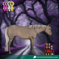 Horse Color:Silver Grullo