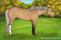 Horse Color:Silver Buckskin Dun 