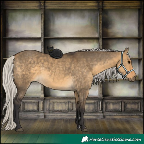 Horse Color:Silver Buckskin Dun