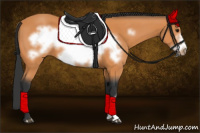 Horse Color:Bay Frame 