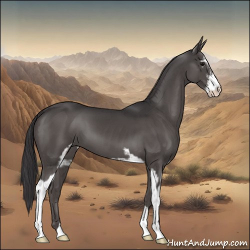 Horse Color:Smoky Black Sabino 