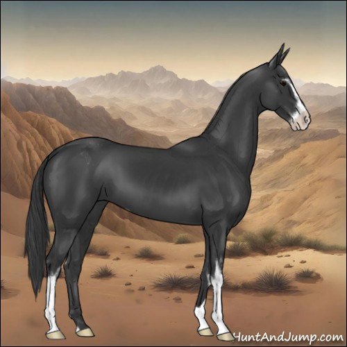 Horse Color:Black Sabino 