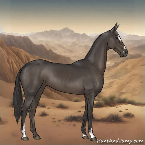 Horse Color:Smoky Black Sabino