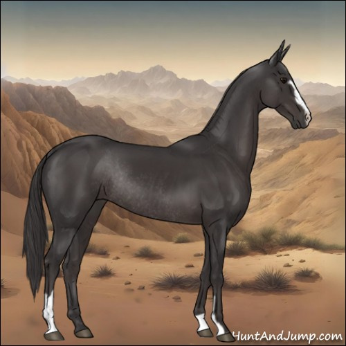 Horse Color:Smoky Black Sabino Rabicano 