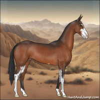 Horse Color:Brown Sabino 
