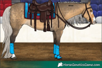 Horse Color:Silver Buckskin Dun 
