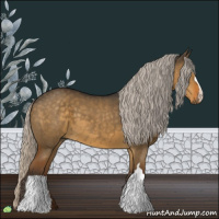 Horse Color:Silver Smoky Grullo 