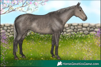 Horse Color:Silver Smoky Grullo 