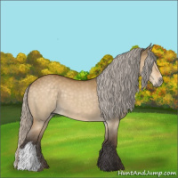 Horse Color:Silver Buckskin Dun