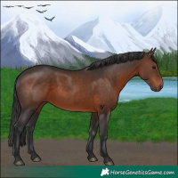Horse Color:Brown 