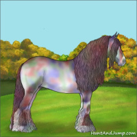 Horse Color:Nacre Chocolate Brown Chinchilla Onyx