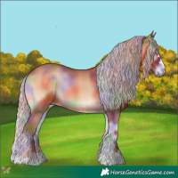 Horse Color:Nacre Chocolate Silver Bay Onyx 