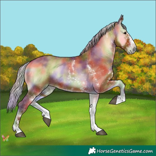 Horse Color:Nacre White Spotted Silver Bay Onyx