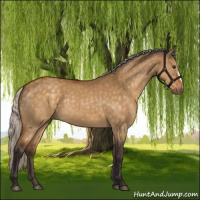 Horse Color:Silver Buckskin Dun 