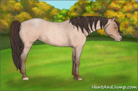 Horse Color:Amber Champagne Roan 