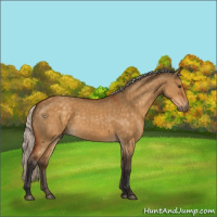 Horse Color:Silver Buckskin Dun 