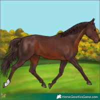Horse Color:Chocolate Brown 
