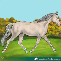 Horse Color:Cremello 