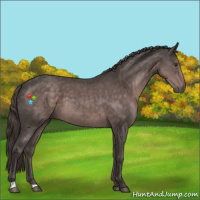 Horse Color:Platinum Liver Chestnut 