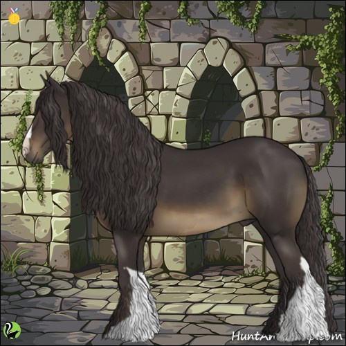 Horse Color:Smoky Black 
