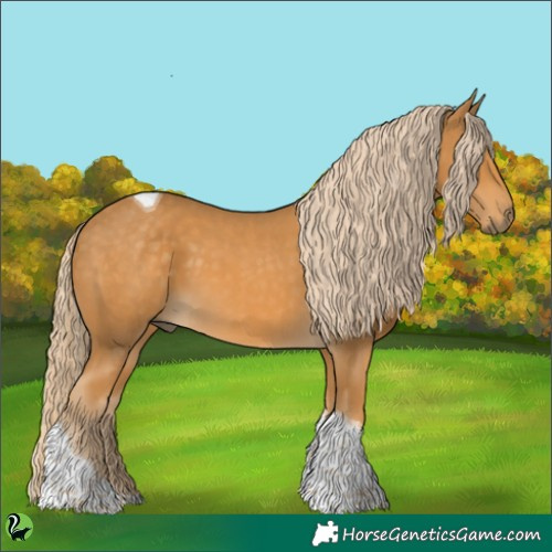 Horse Color:Palomino Tobiano 