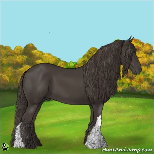Horse Color:Smoky Black 