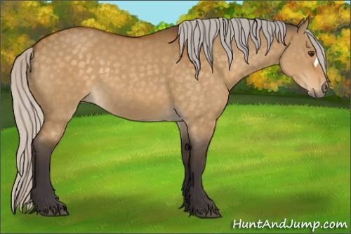Horse Color:Silver Buckskin Dun 
