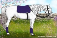 Horse Color:White Spotted Black Appaloosa 