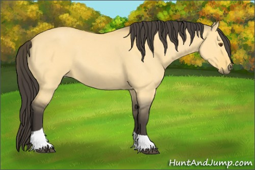 Horse Color:Buckskin Roan Dun Tobiano 