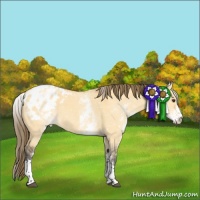 Horse Color:White Spotted Buckskin Dun Tobiano Blanket 