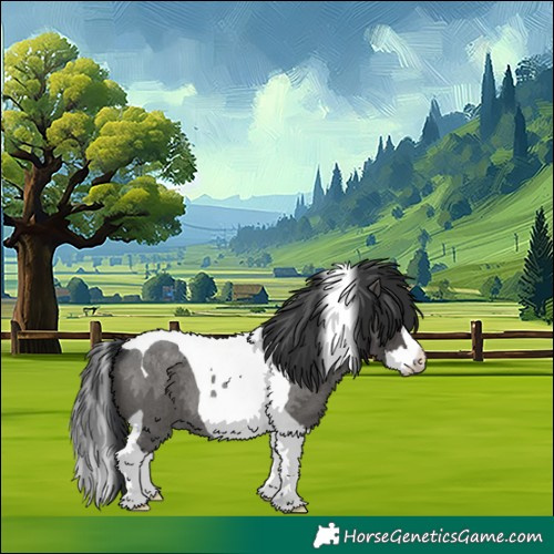 Horse Color:Blue Roan Splash Tobiano 
