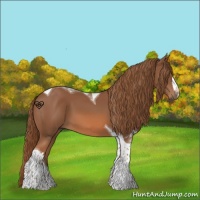 Horse Color:Chestnut Tobiano