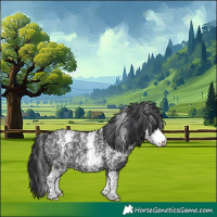 Horse Color:White Spotted Blue Roan 