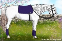 Horse Color:Grullo Appaloosa Rabicano