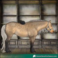 Horse Color:Silver Buckskin Dun 