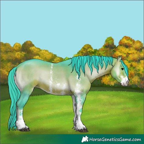 Horse Color:Watercolor Bay Onyx Sabino 