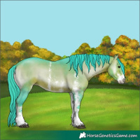 Horse Color:Watercolor Bay Onyx Sabino