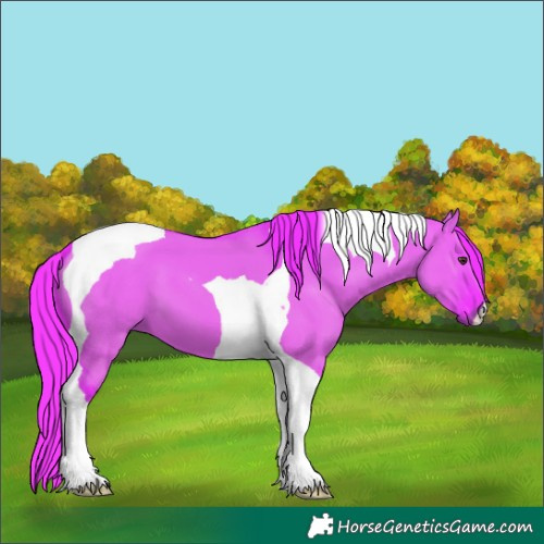 Horse Color:Watercolor Liver Red Dun Tobiano 