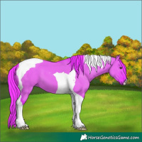 Horse Color:Watercolor Liver Red Dun Tobiano 