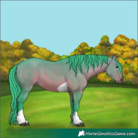 Horse Color:Watercolor Brown Dun Tobiano 