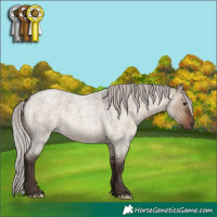 Horse Color:Silver Brown Roan Dun 