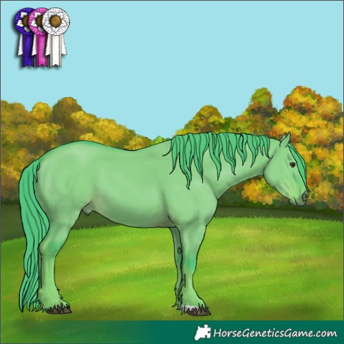 Horse Color:Watercolor Liver Red Dun 
