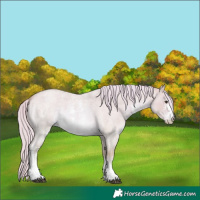Horse Color:Watercolor Red Dun Roan Sabino 