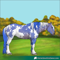 Horse Color:Watercolor White Spotted Brown Dun 