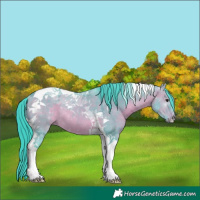 Horse Color:Watercolor Brown Dun Tobiano Rabicano 