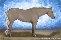 Horse Color:Silver Grullo