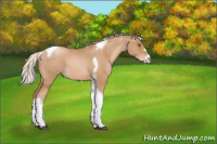 Horse Color:Silver Blue Roan Pearl Tobiano Frame
