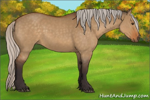 Horse Color:Silver Buckskin Dun 
